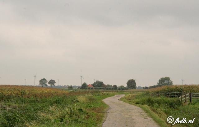 IMG_4654.jpg