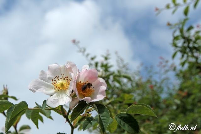 IMG_3007.jpg