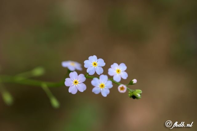 IMG_4107.jpg