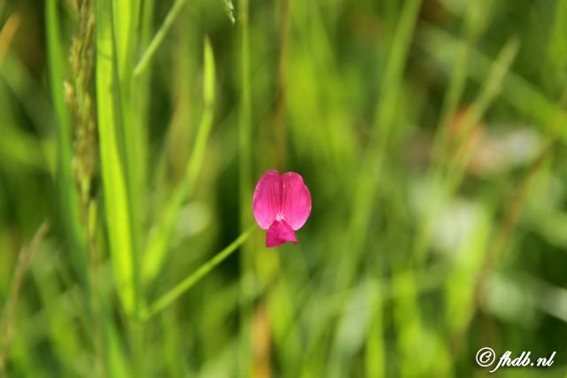 IMG_4314 (2).jpg
