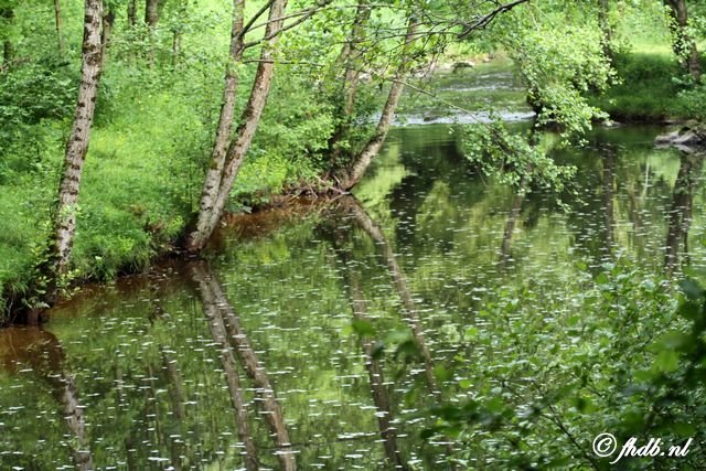 IMG_4580.jpg