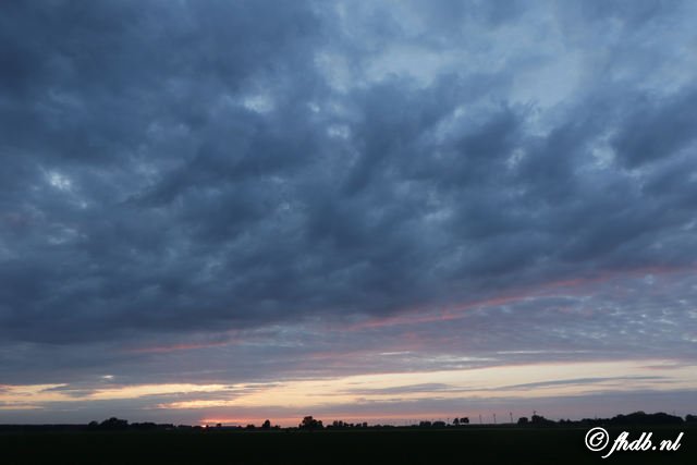 DG8A6538.jpg