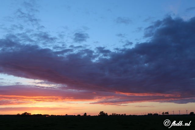 DG8A9491.jpg