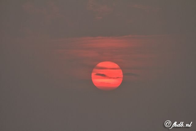 IMG_0687.jpg