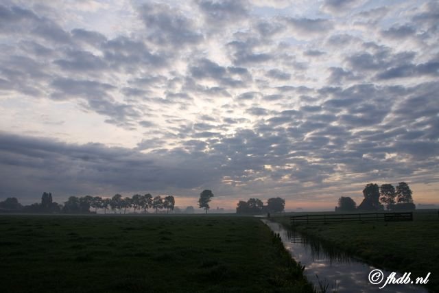 IMG_0892.jpg