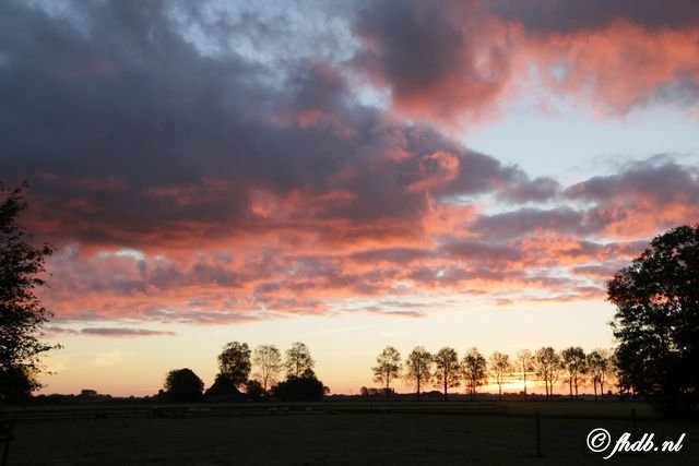 IMG_2030.jpg
