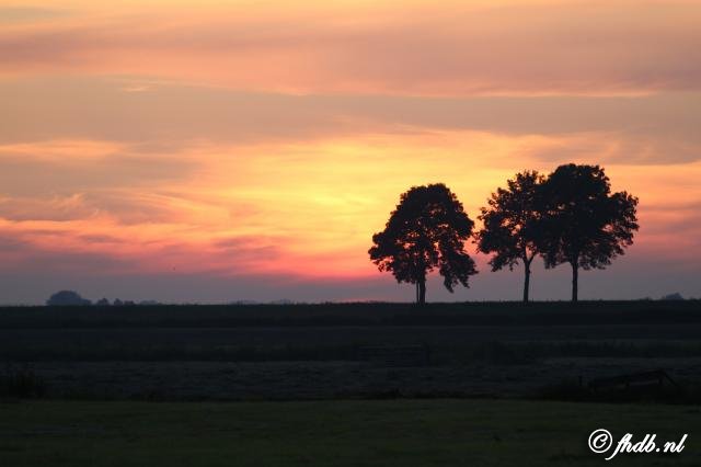 IMG_2203.jpg