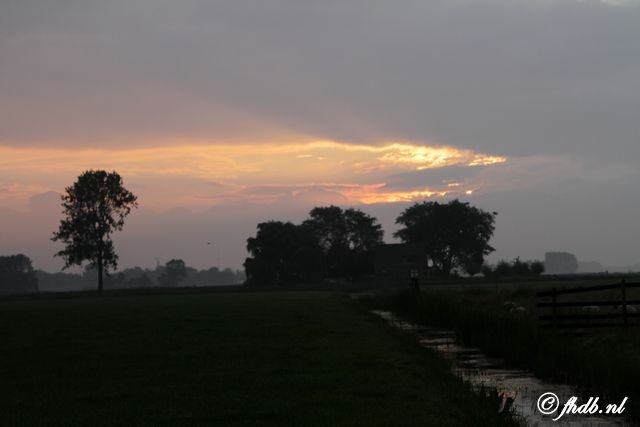 IMG_5381.jpg