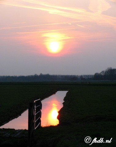 IMG_6887.jpg