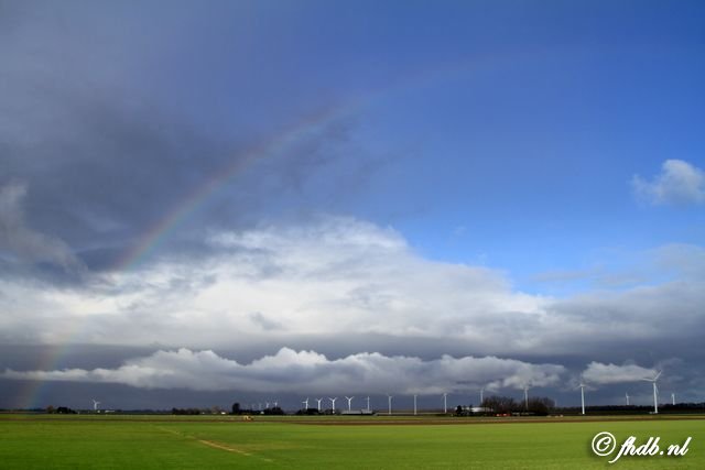 IMG_7137.jpg