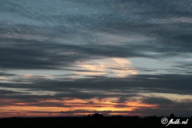 IMG_7158.jpg