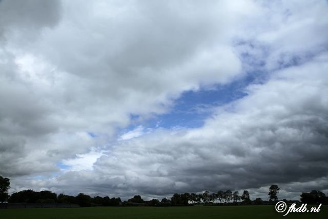 IMG_7208.jpg