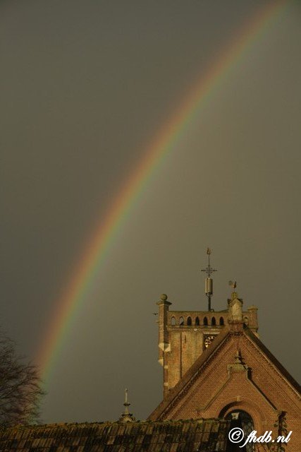 IMG_7528b.jpg