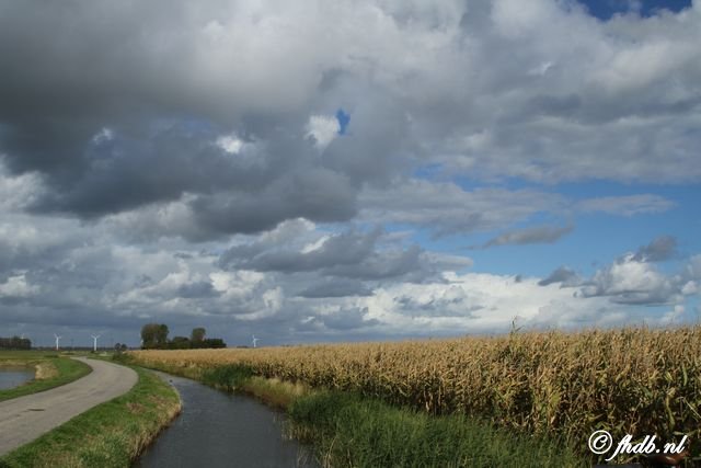 IMG_8858.jpg