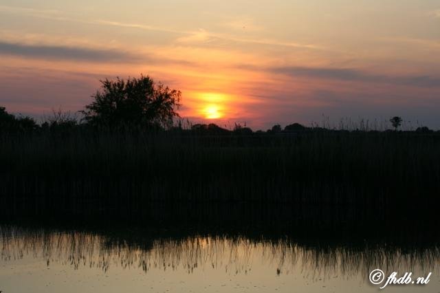 IMG_9332.jpg