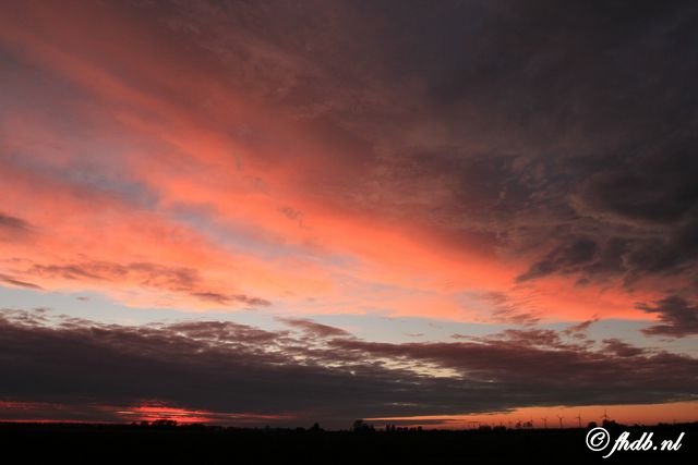 IMG_9382.jpg