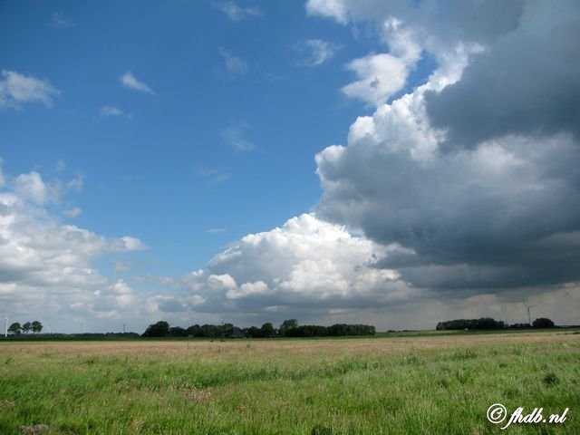 IMG_9548.jpg