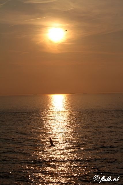 IMG_9762.jpg