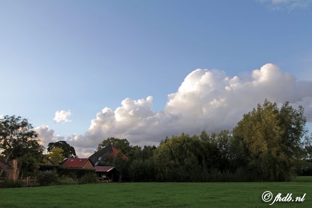 IMG_9911.jpg