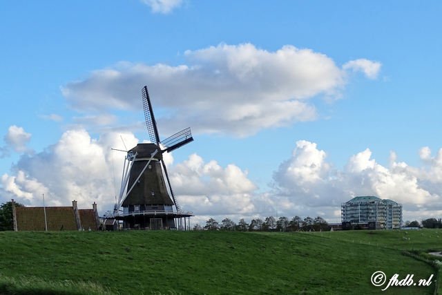 DSC04750.jpg