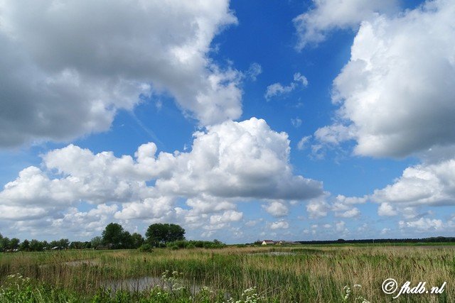 DSC05027.jpg