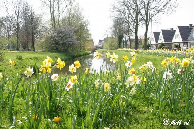 Hoogwoud 045.jpg