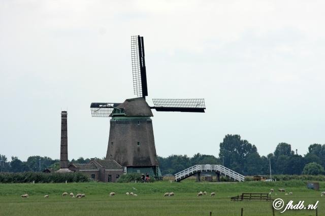 IMG_4443.jpg
