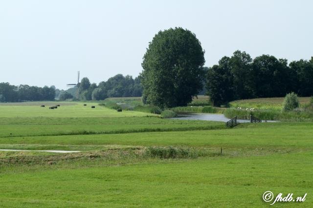 IMG_5393.jpg
