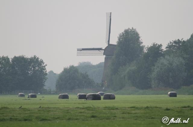 IMG_5663b.jpg