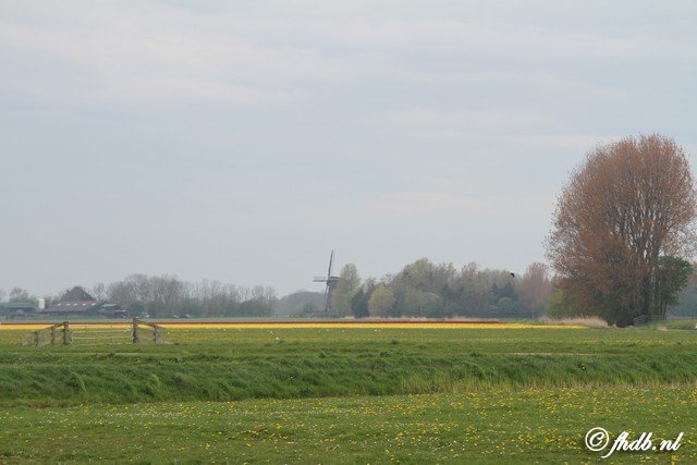 IMG_7883.jpg