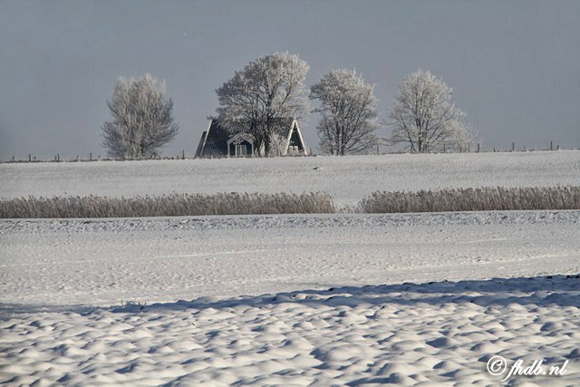 IMG_8929.jpg