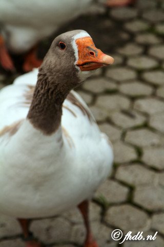 IMG_6444.jpg