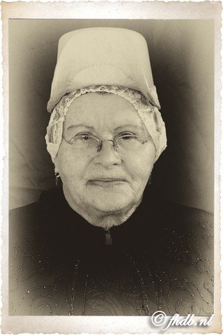IMG_1965b.jpg