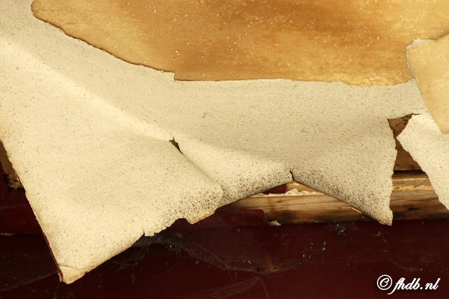 DG8A8329.JPG