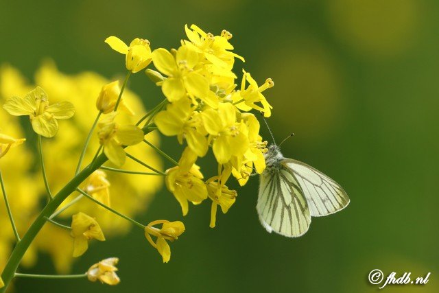 DG8A9759.jpg