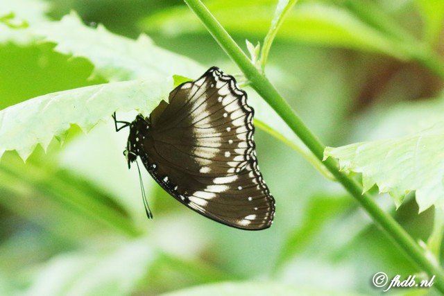 DG8A5863.jpg