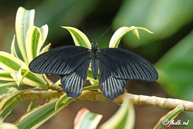 DG8A5872.jpg