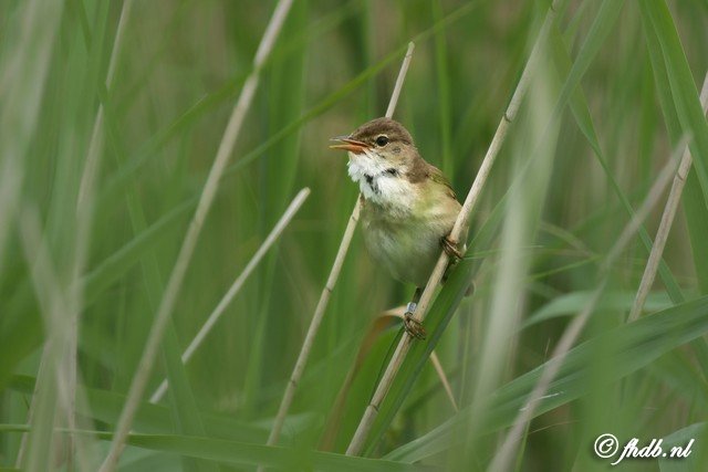 DG8A0707.jpg