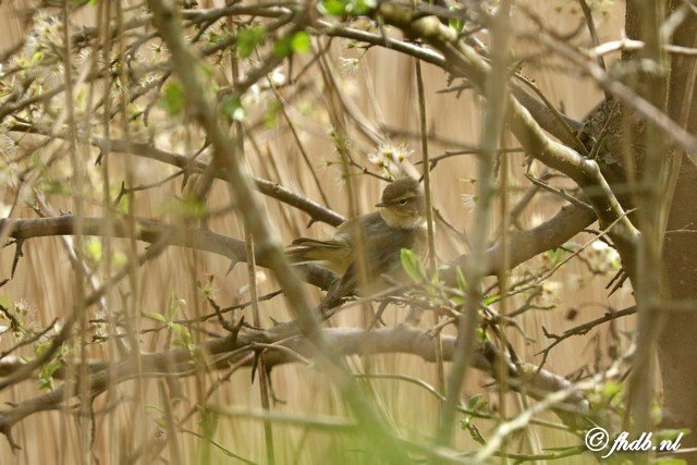 DG8A6222.jpg
