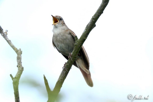 DG8A8725.jpg