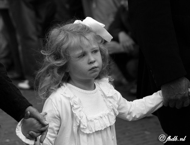 IMG_1962b.jpg